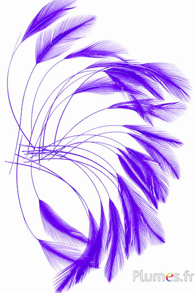 Hahn - 10-15 cm - violett